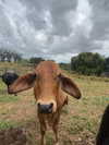 ellanacca Altpins Profile Picture