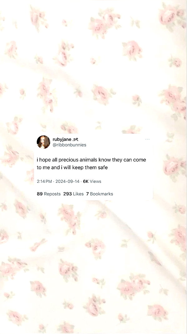 1uvgabi instagram image archive image