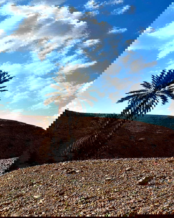 manjolamuriqi manjolamuriqi archive image