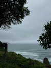 solzarubin_ Altpins Profile Picture