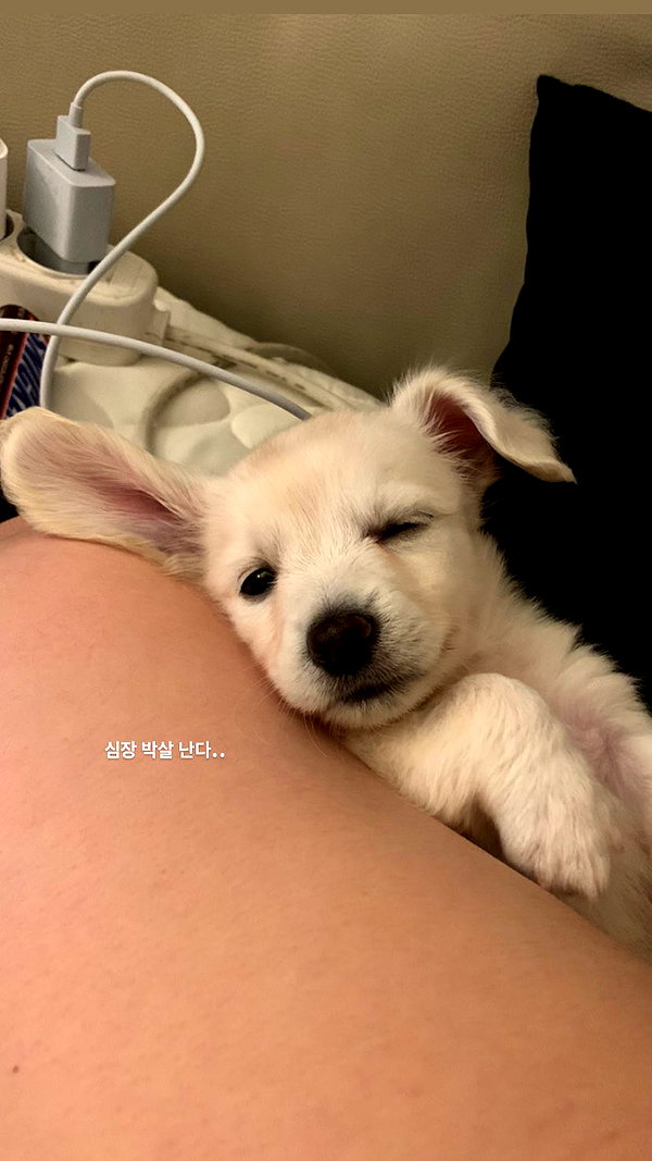 Archived image from @heroineseen on Instagram