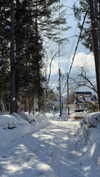 dekota_thompson Altpins Profile Picture