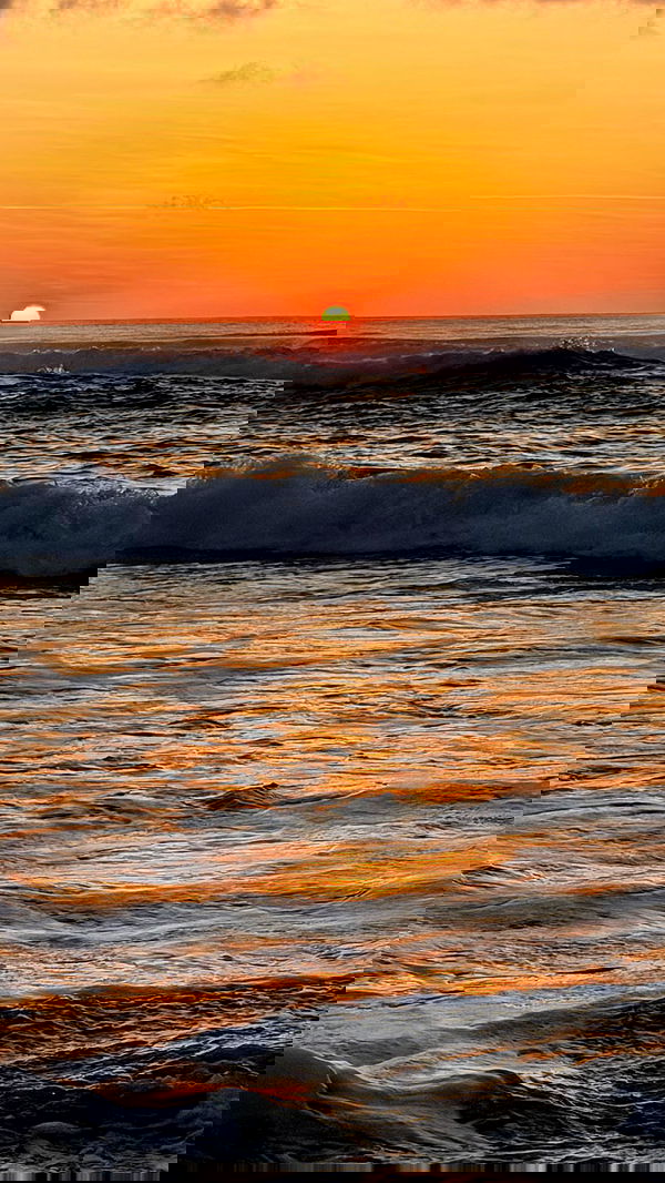 taylor.creeden taylor.creeden archive image