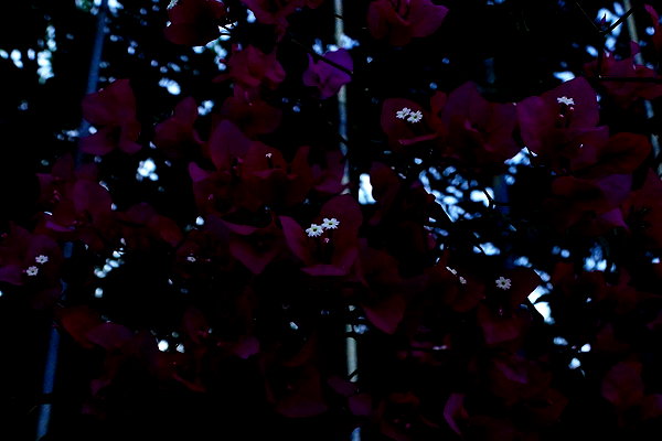 leni.bahr instagram image archive image