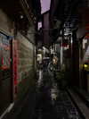 vollkova__ Altpins Profile Picture