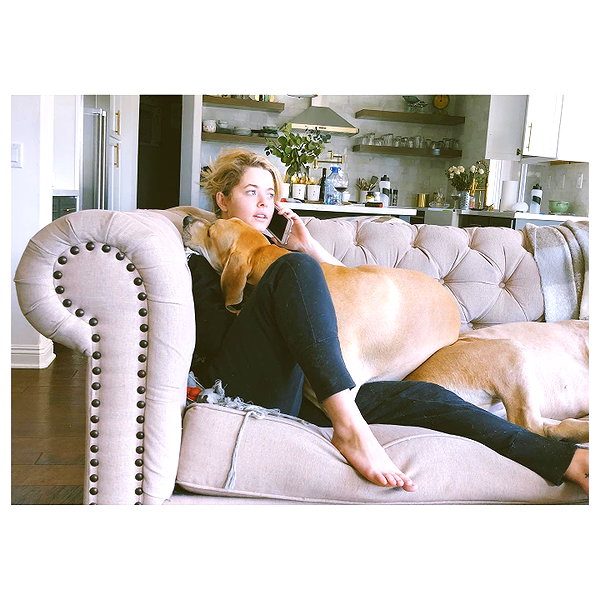 sashapieterse instagram image archive image