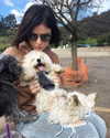 lucyhale Altpins Profile Picture