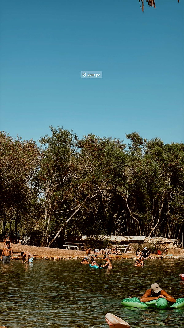 rei.sigalov instagram image archive image