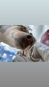 yaarat11 Altpins Profile Picture