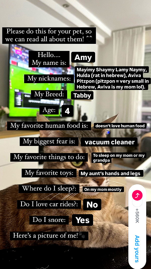 Archived image from @notchicore on Instagram