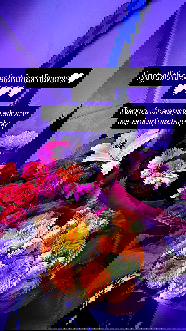 chibinekopurr chibinekopurr archive image