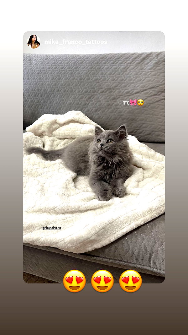 Archived image from @elaysolomon on Instagram