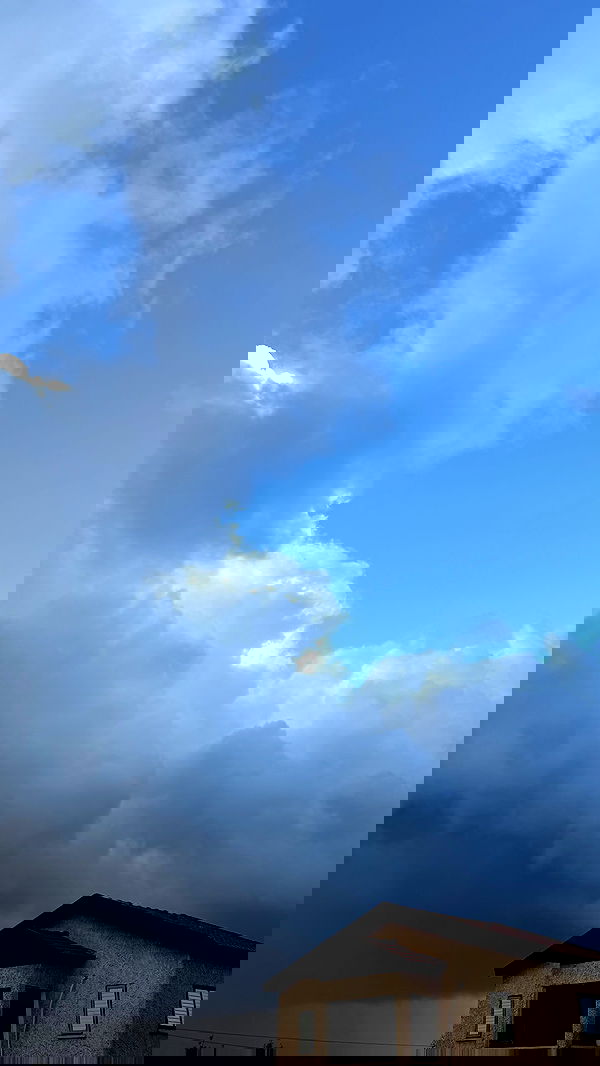 efrat_elmalich efrat_elmalich archive image