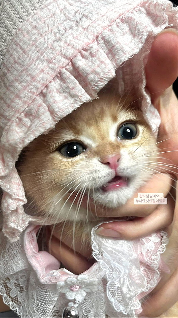 s0meii0 instagram image archive image