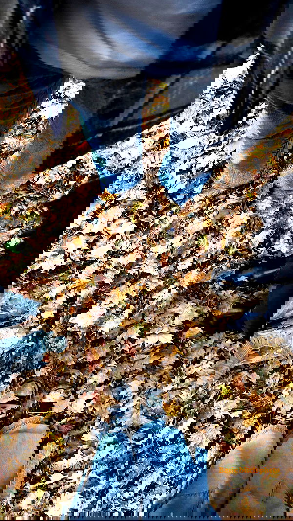 biton__adi biton__adi archive image