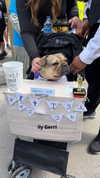 gabbyepstein Altpins Profile Picture