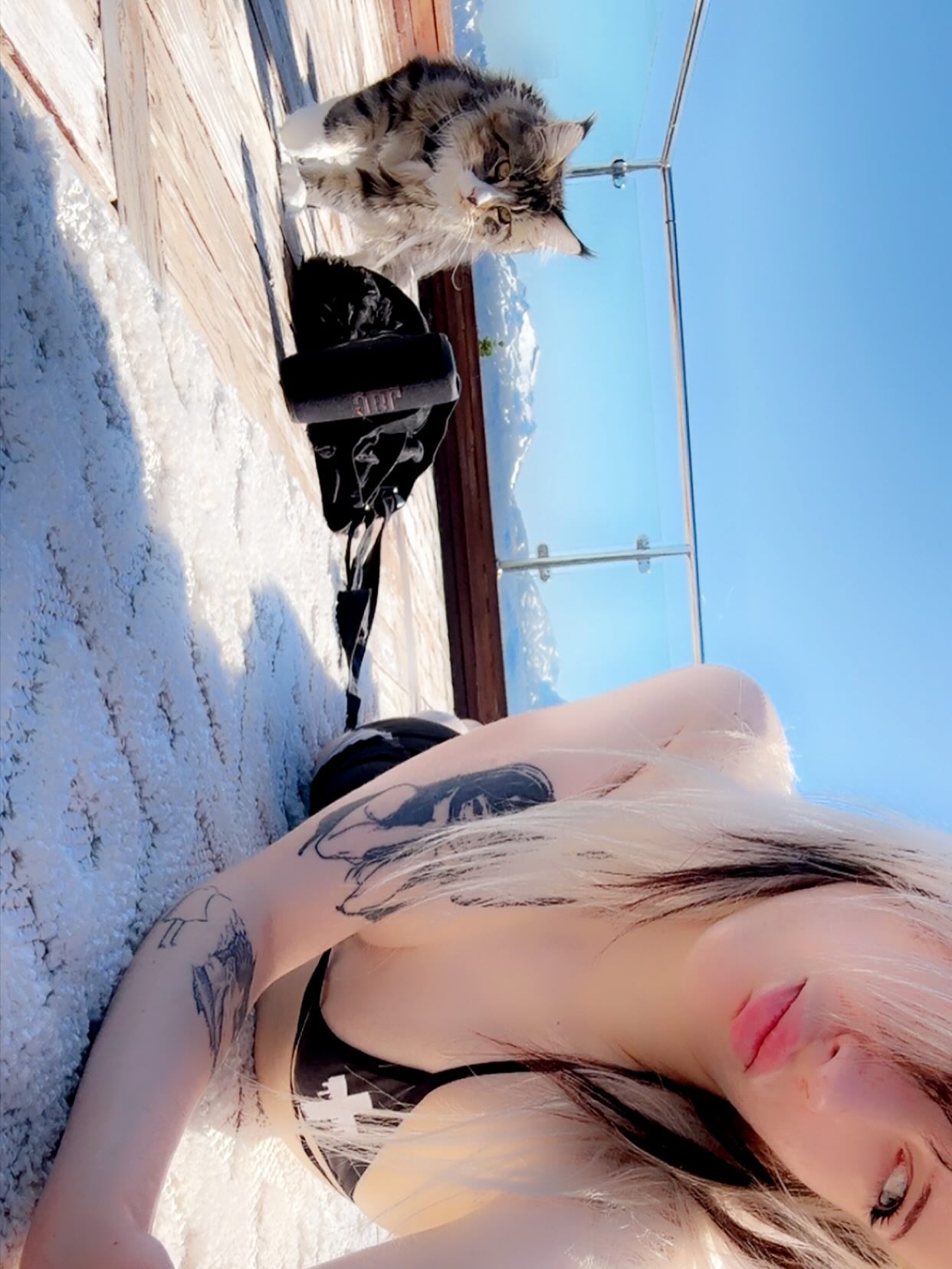 silkton instagram image archive image