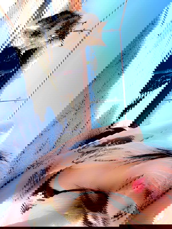 silkton image ~ Altpins