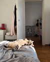 milena_milachich Altpins Profile Picture