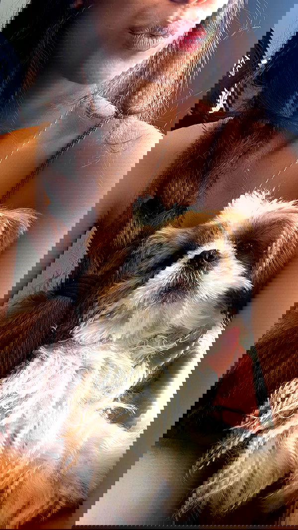 noammalka___ noammalka___ archive image