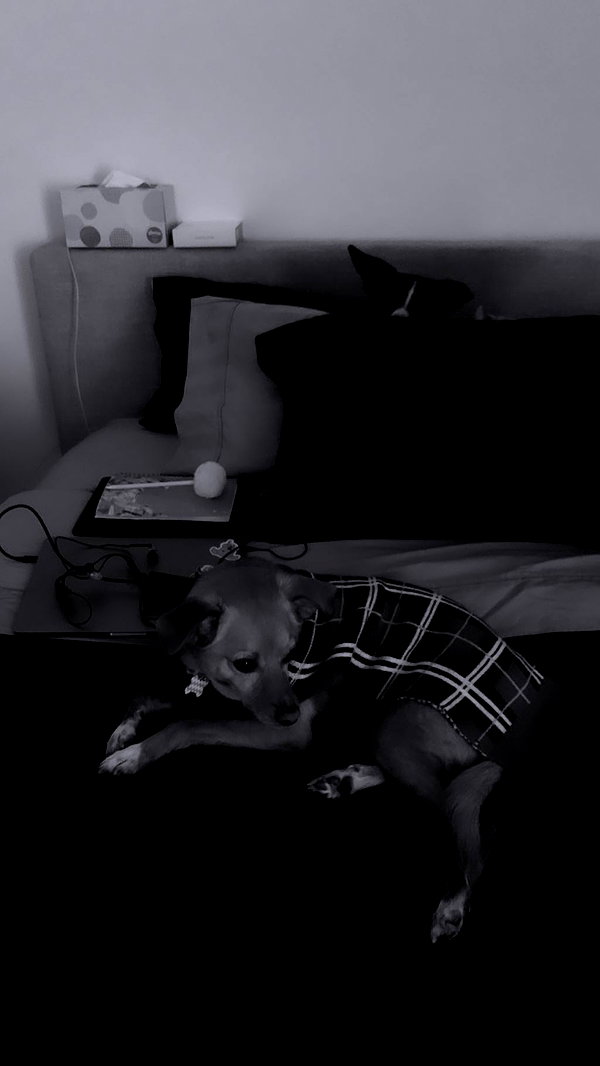 arianagrande instagram image archive image