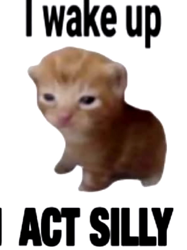 grogusmami instagram image archive image