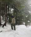 rouxroux.tv Altpins Profile Picture