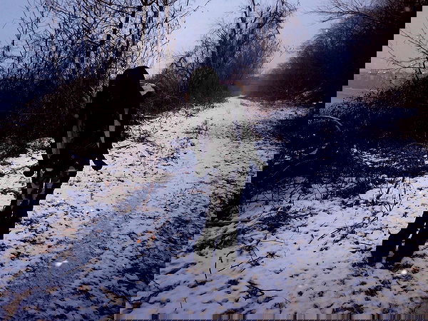 twodollie twodollie archive image