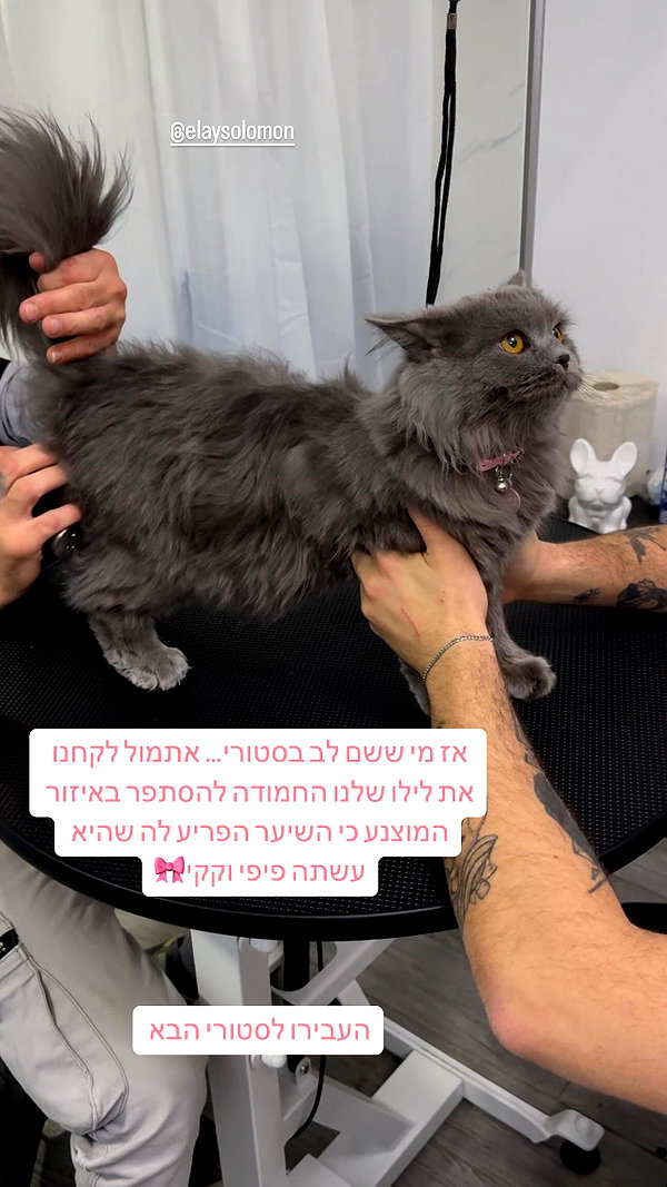 Archived image from @mika_franco_tattoos on Instagram