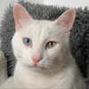 mariagabrielasantos Altpins Profile Picture