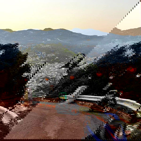 pollcherri pollcherri archive image