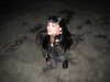 lerasww Altpins Profile Picture