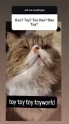mirekyarahire Altpins Profile Picture