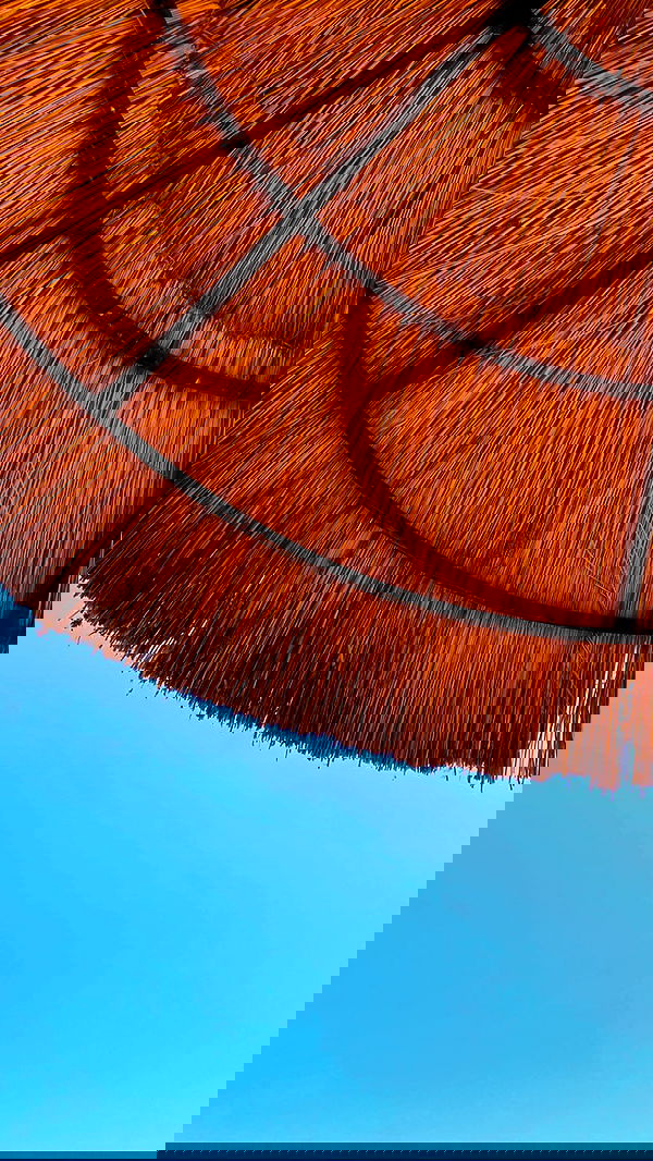 taylor.creeden taylor.creeden archive image