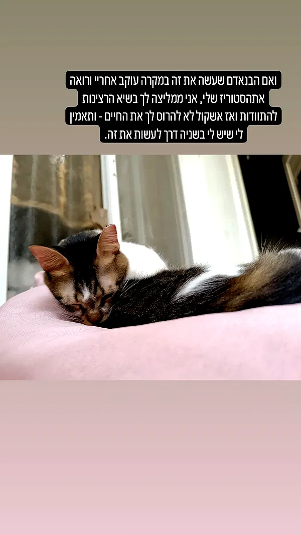 moonyyyya moonyyyya archive image