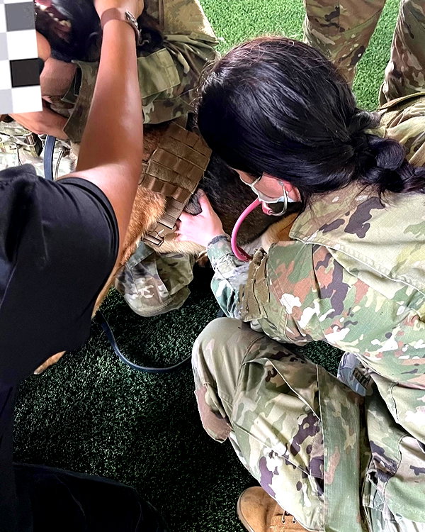 war_hamster6 instagram image archive image