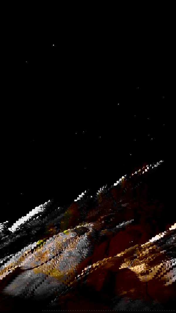 taylor.creeden taylor.creeden archive image