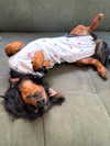 libby_reut Altpins Profile Picture
