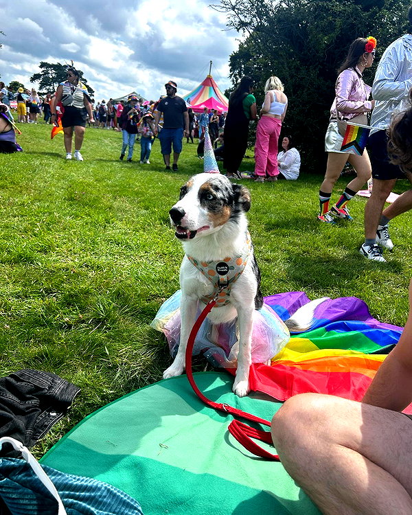 charley.chambers instagram image archive image