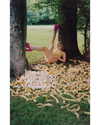 mileycyrus Altpins Profile Picture