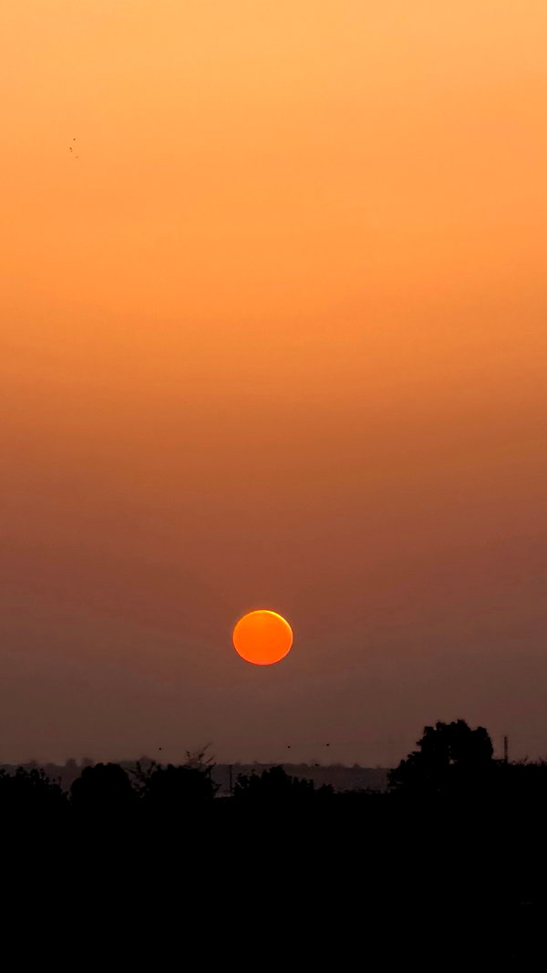 efrat_elmalich instagram image archive image
