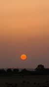 efrat_elmalich Altpins Profile Picture