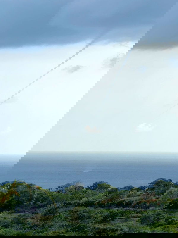 minaxash minaxash archive image