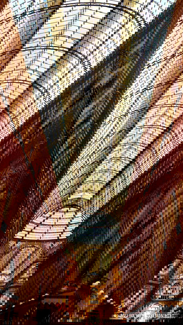 taylor.creeden taylor.creeden archive image