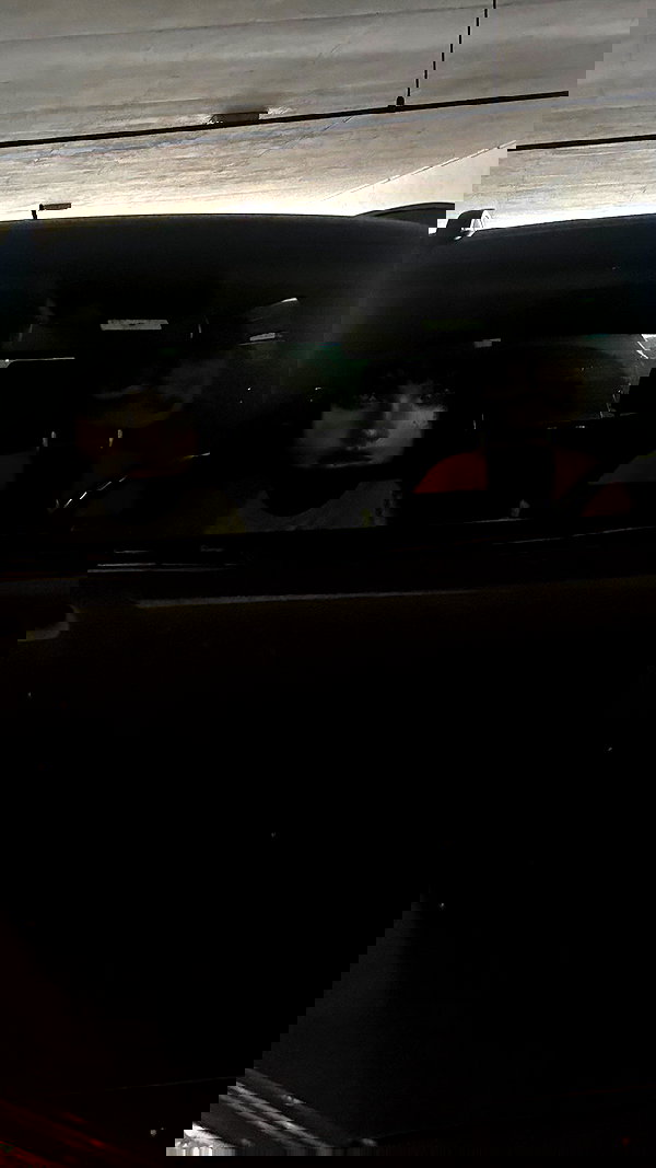 mosssaico mosssaico archive image