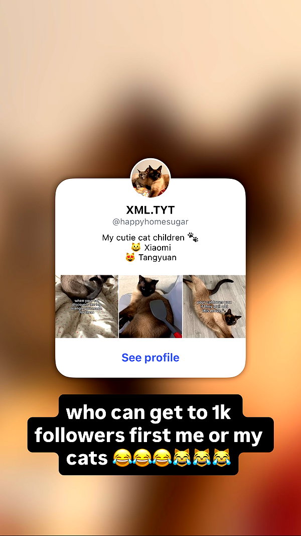 sugarcoatedkiss instagram image archive image