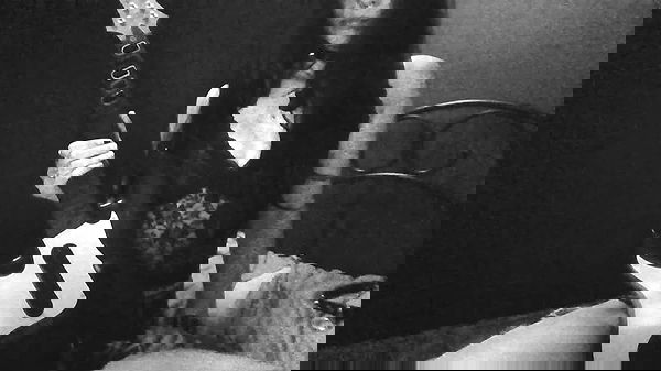 xombunni image ~ Altpins