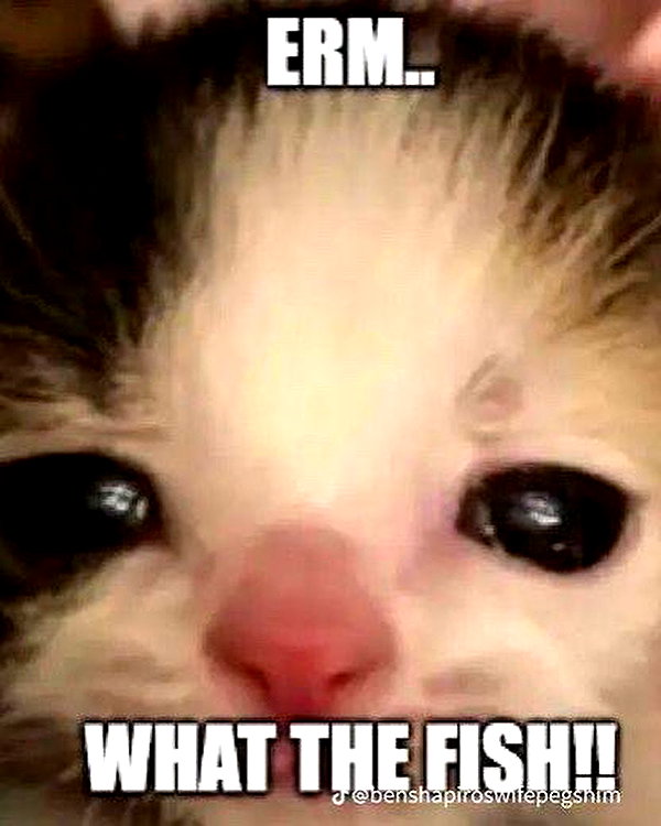 catl0verr69 instagram image archive image