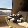 dreambabydrea Altpins Profile Picture