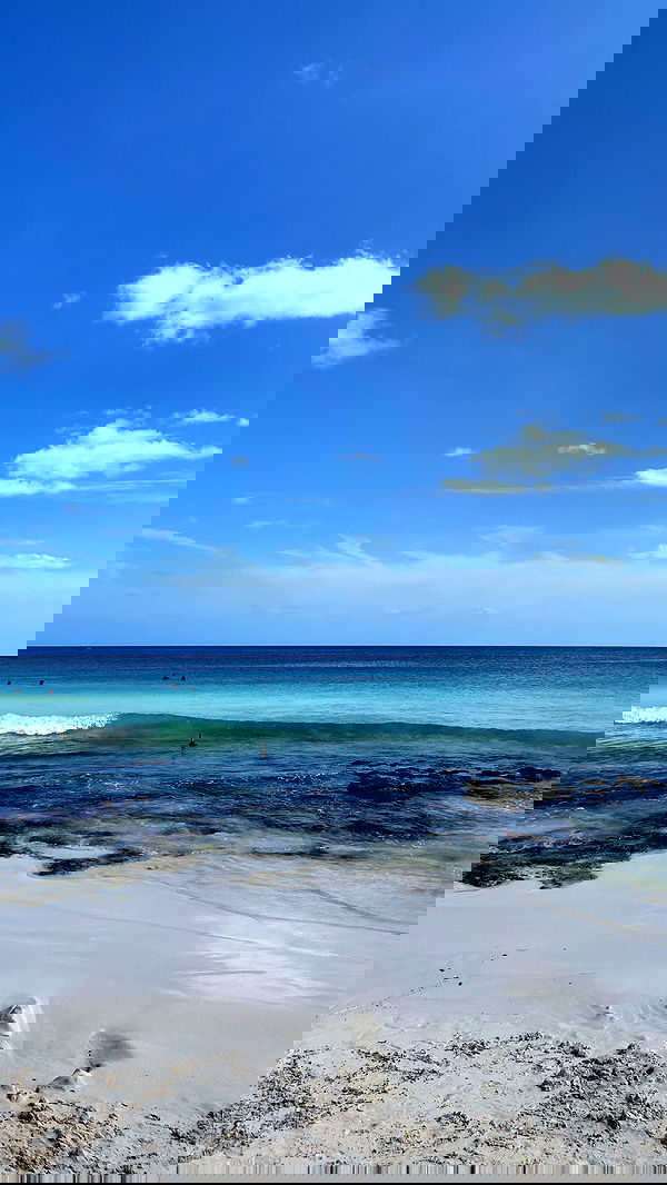 manjolamuriqi manjolamuriqi archive image